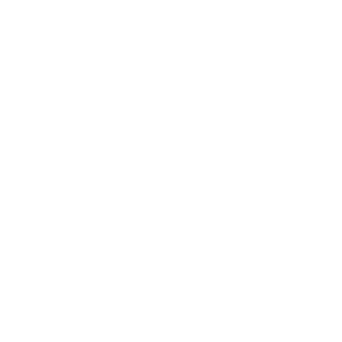 The Prime H Store